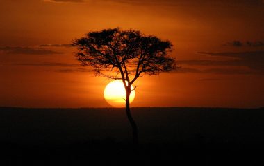Africa Tanzania