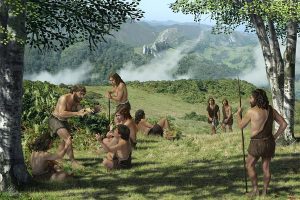 homo sapiens