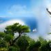 Capri