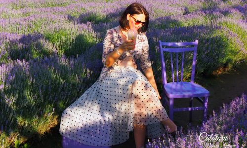 in lanul de lavanda