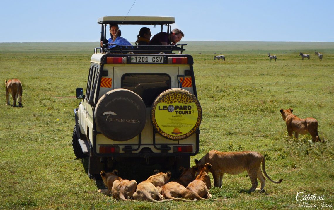 Safari Tanzania - rep