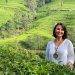 Tea plantation