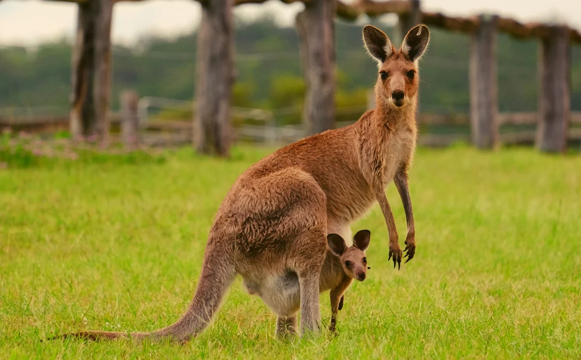 Australia